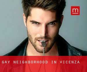 sesso gay vicenza|Gay Vicenza